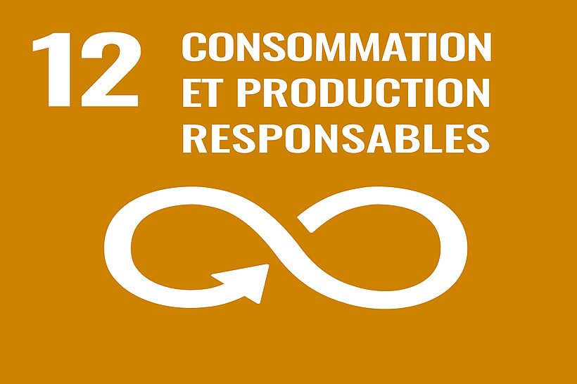 SDG consommation et production responsables