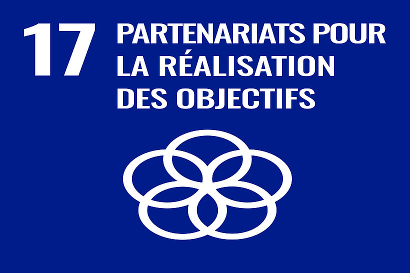 partenariats pour la réalisation des objectifs